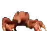 crabrave