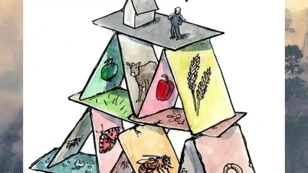 A political cartoon by Stefan Haller: it illustrates human dependence on biodiversity using a house of cards. A person on top of the structure asks, "Why should I care about the extinction of species?", while each card below represents a different plant or animal. The precarious stack symbolizes how the removal of even one species could lead to the collapse of the entire ecosystem, impacting humanity.