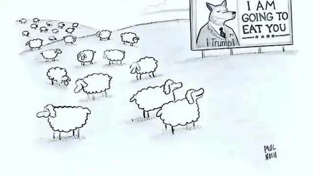 He tells it like it is